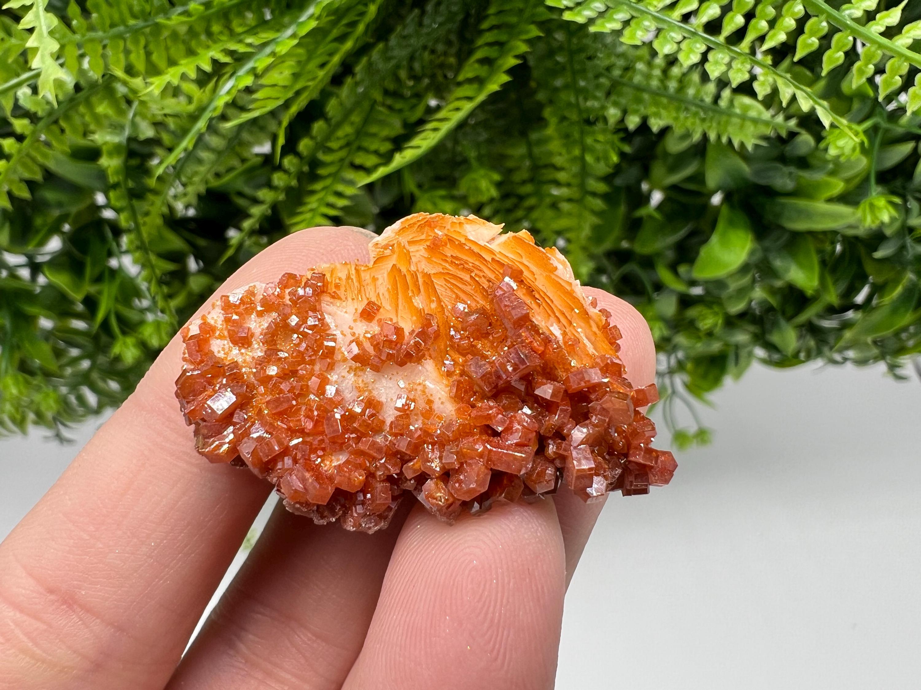 Red Vanadinite on Barite, Moroccan Crystal Mineral Specimen