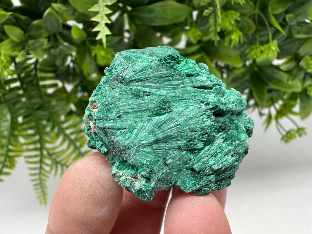 Polished Green Malachite Crystal from Congo, Natural Specimen, Chakra Stone
