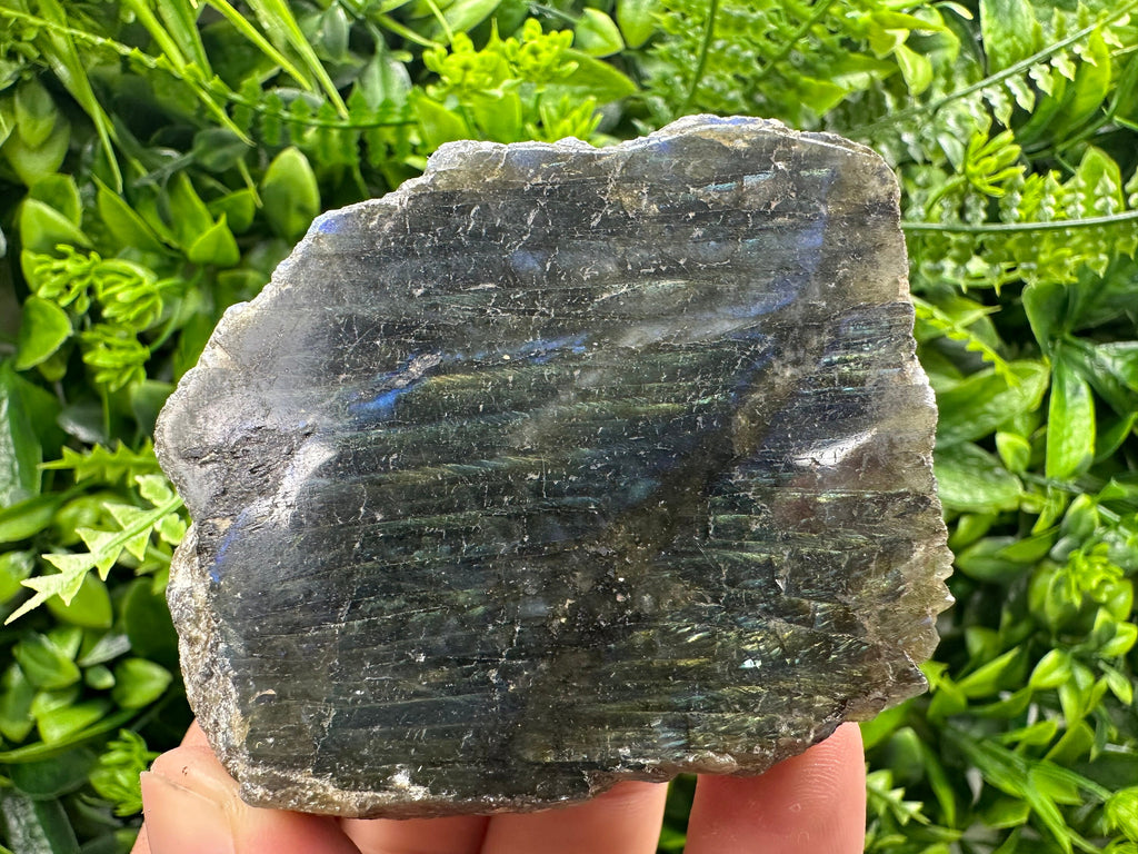 Natural Multifire Labradorite Slab: Polished Crystal Decor (7/6/4.5)