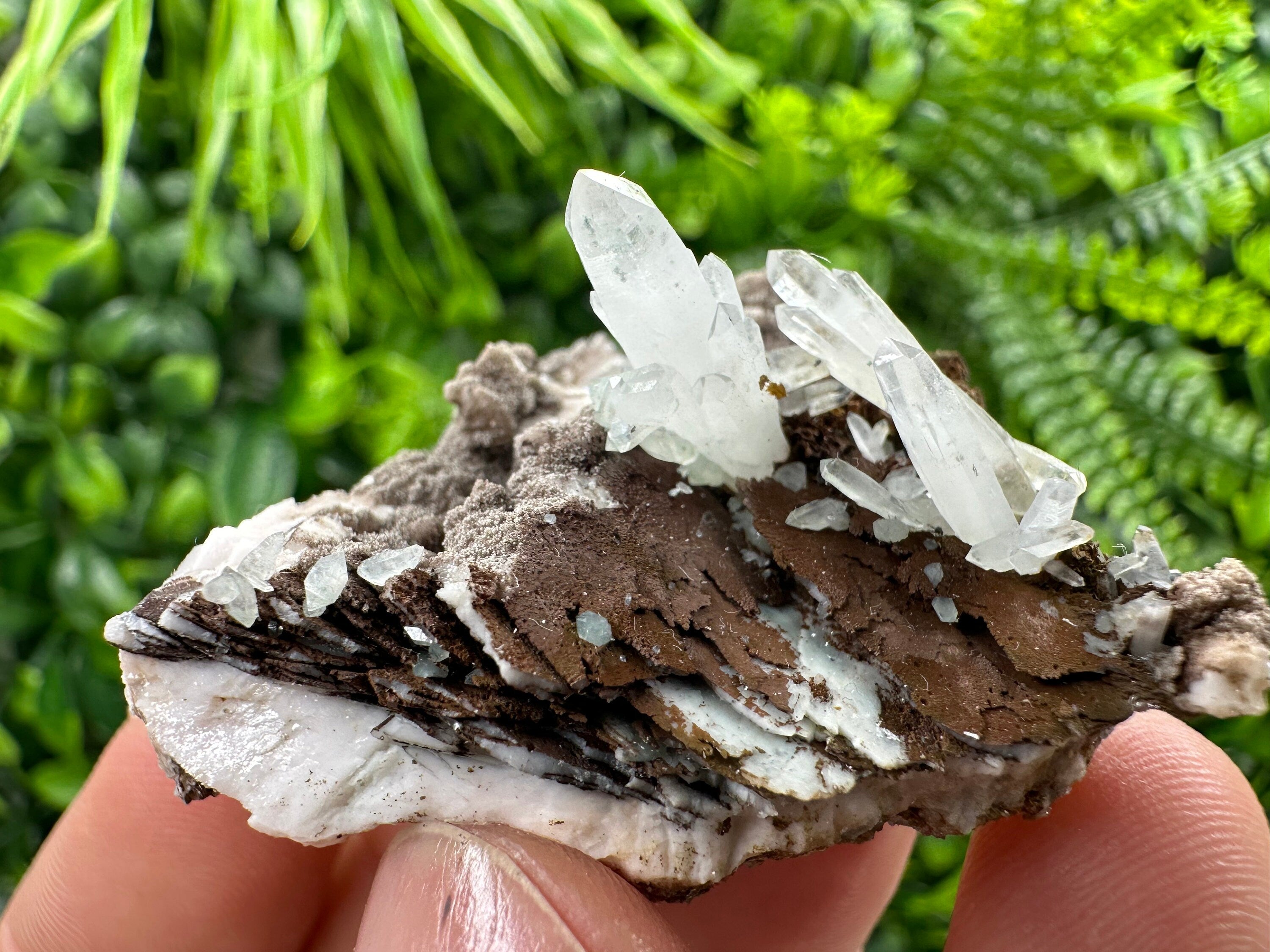Quartz with Chlorite, Rhodochrosite, Siderite Crystal Home Decor