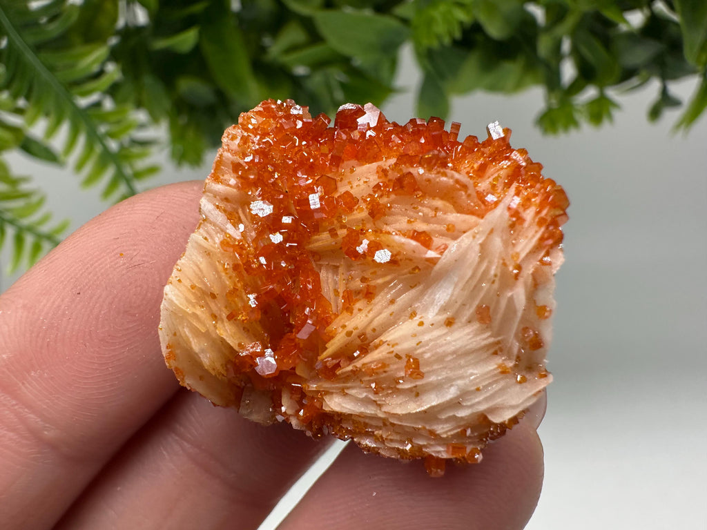 Red Vanadinite on Barite Cluster, Morocco Mineral Specimen