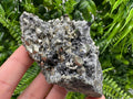 Pyrite on Green Quartz Specimen: Borieva Mine Mineral Decor