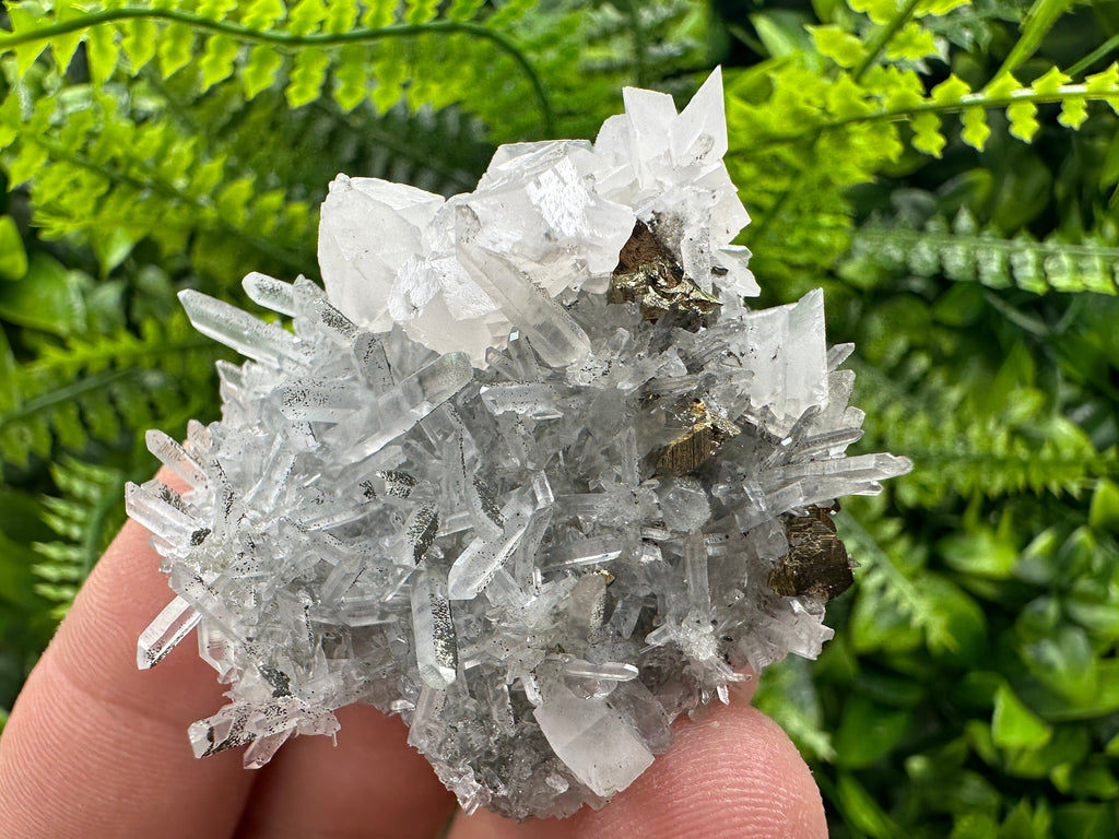 Chalcopyrite & Calcite on Quartz: Borieva Mine, Bulgaria