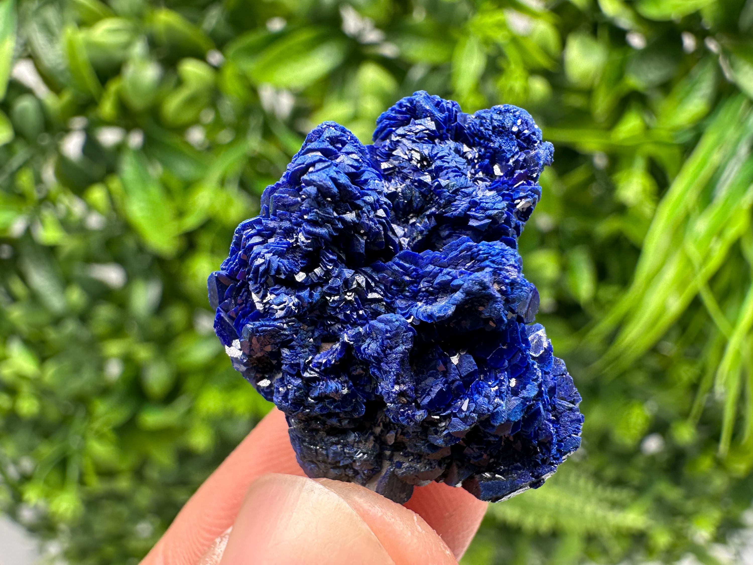 Crystallized Azurite-Kerrouchen,Morocco-Blue Azurite Specimen-High Quality Blue Azurite-Azurite Mineral Specimen, gemmy,lustrous of Azurite