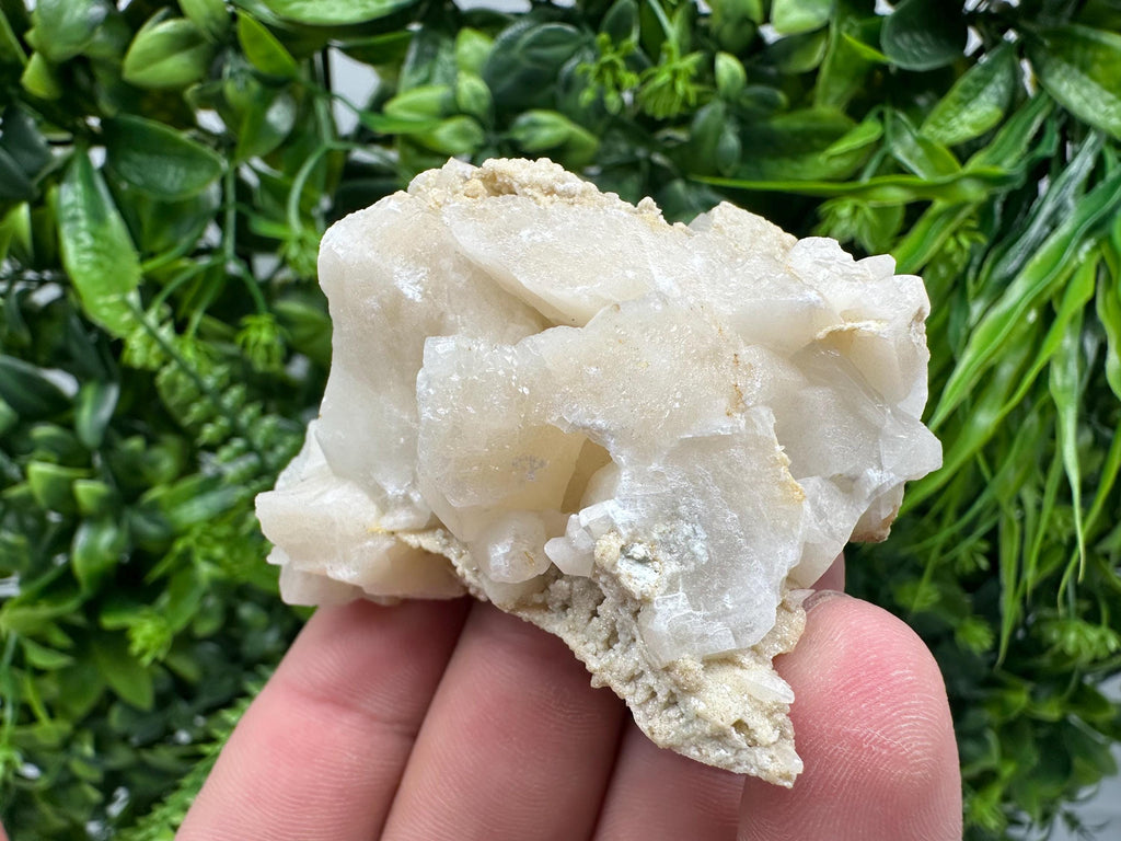 Calcite on Green Quartz: Djurcovo Mine, Bulgaria Crystal