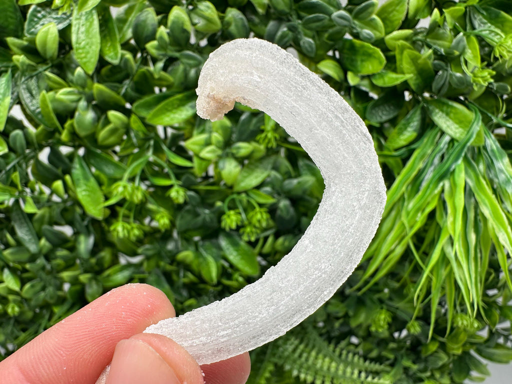 White Selenite Gypsum "Ram's Horn'' Selenite,from Guizhou,China,perfect Shape and Luster,Fluorescent Selenite Gypsum,minerals specimen,colle