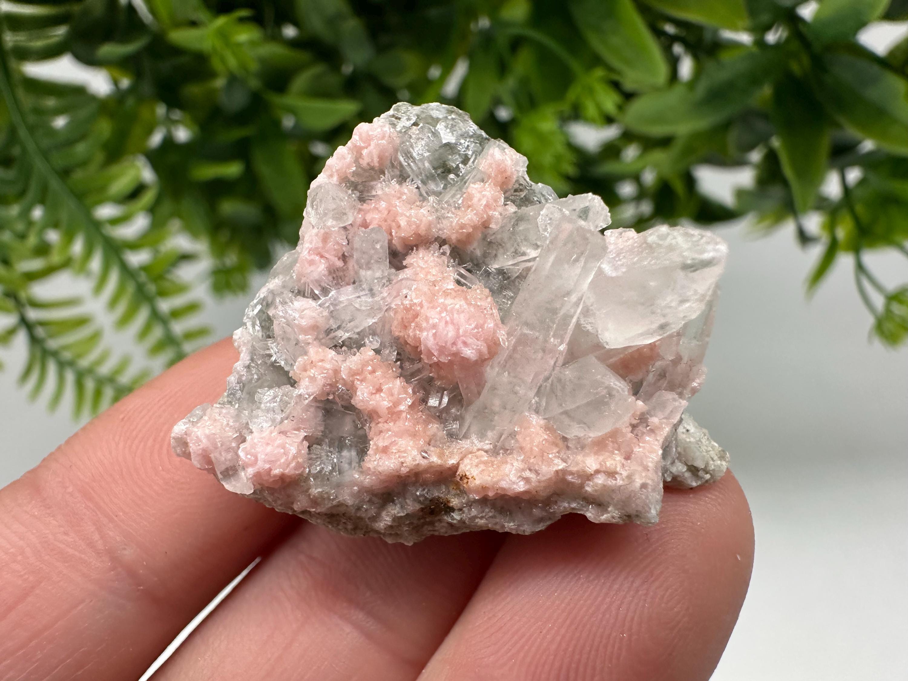 Pink Rhodochrosite Crystal: Starnica Mine, Bulgaria, Home Decor