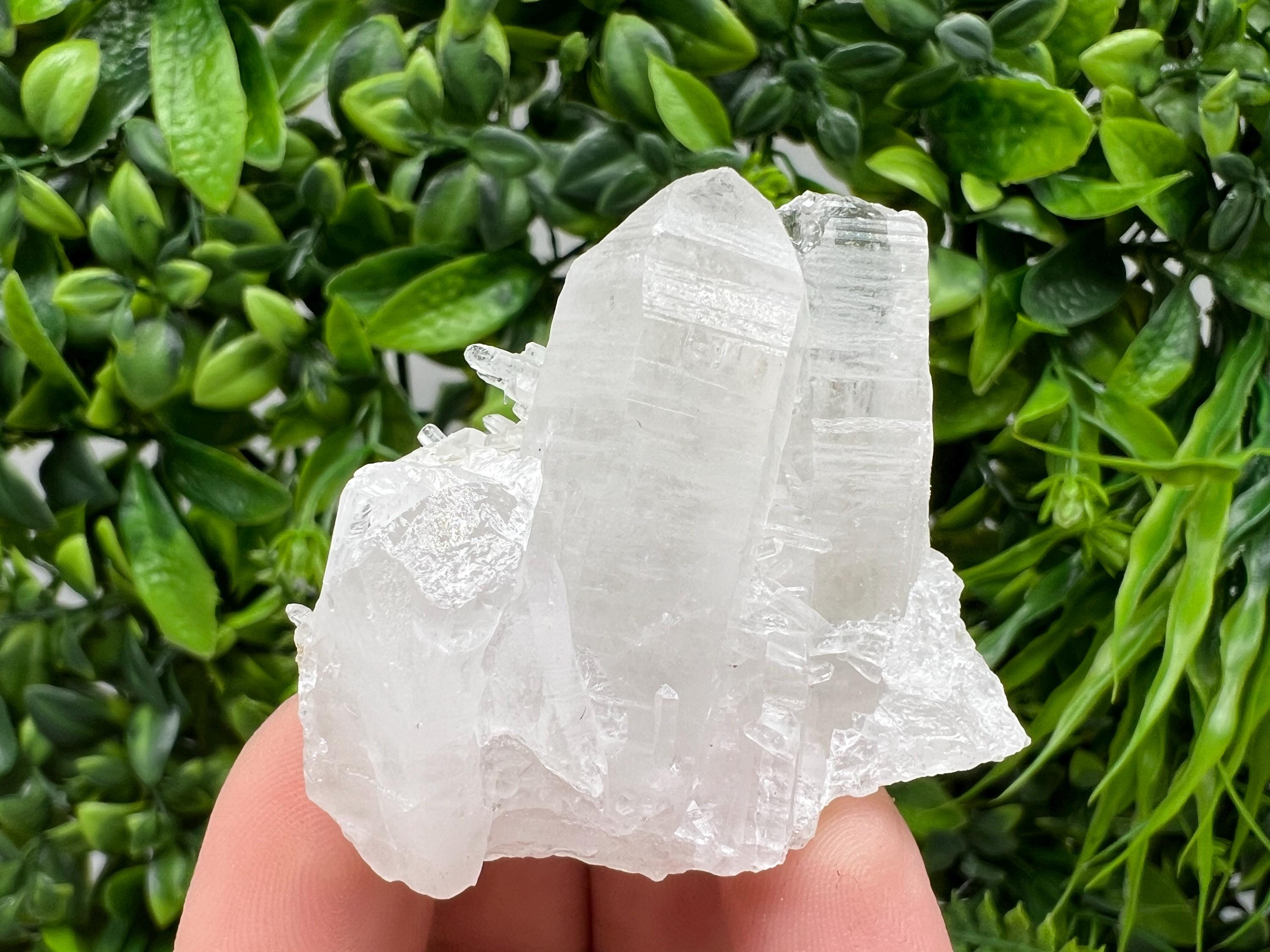 Wonderful Transparent Quartz on Chlorite Matrix,From Borieva mine,Madan,Bulgaria,Quartz,Quartz crystal,mineral specimen,collection quartz
