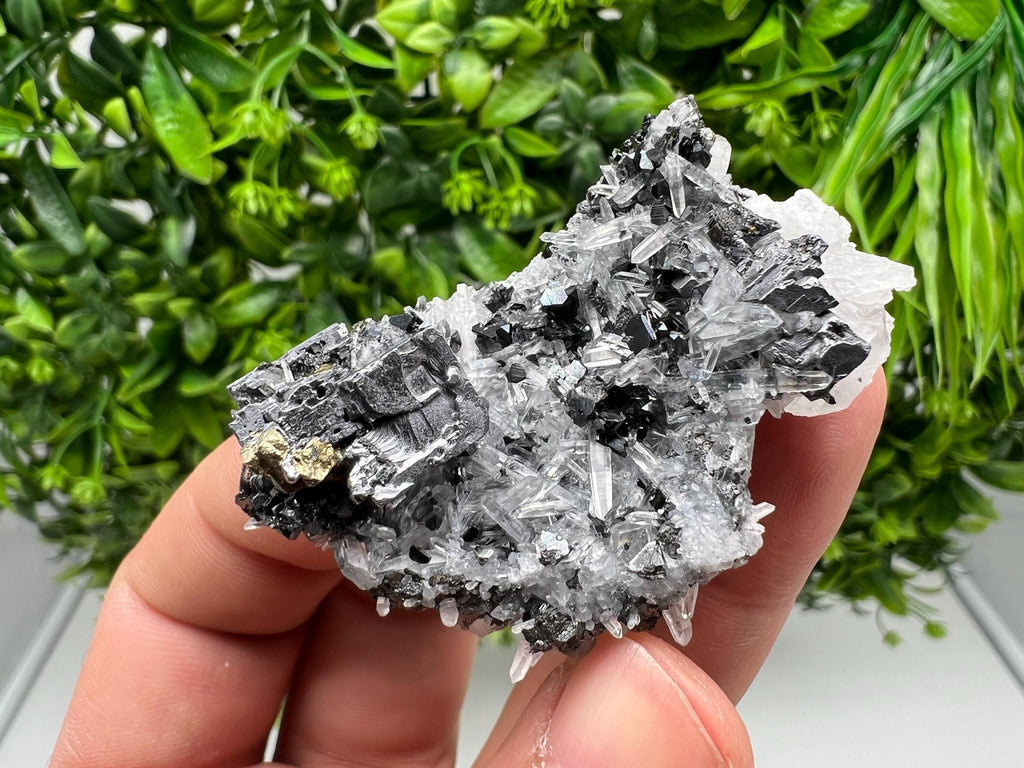 Aesthetic Natural shiny Galena whit Siderite and Quartz from 9 th September mine,Bulgaria,collection specimen,rare galena,Galena cluster