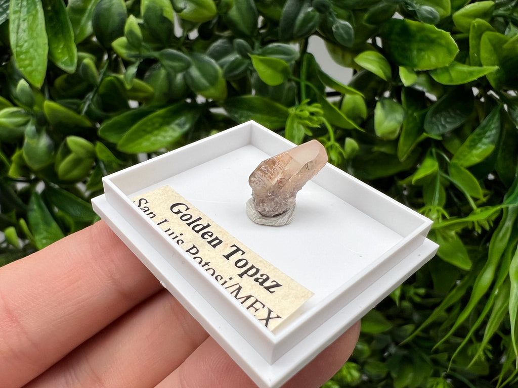 Beautiful Golden Topaz from Mexico,collection piece Crystal,Mineral,collectibles,Collectors, Natural Crystal, Minerals from Mexico,original,