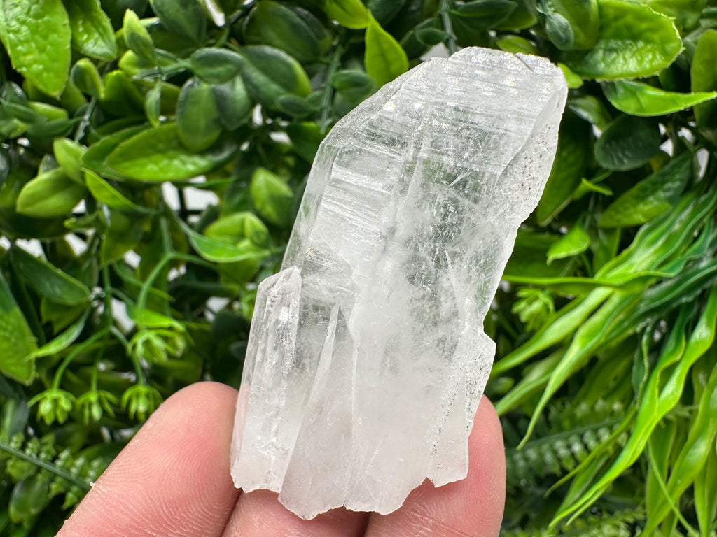 Transparent Quartz Crystal: Djurcovo Mine, Bulgaria