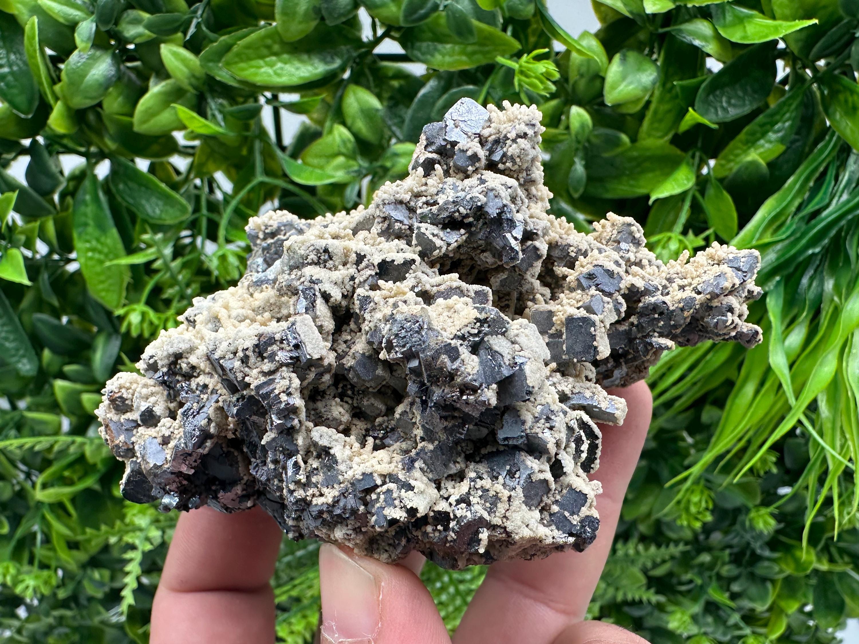 Galena Dolomite Cluster, Krushev dol Bulgaria Mineral Specimen