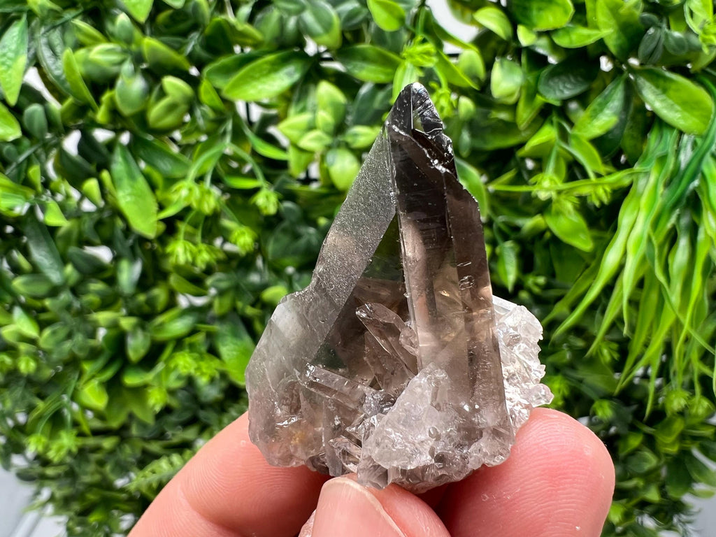 Rare Smoky Quartz Crystal Specimen: Mineral Collection, Brazil