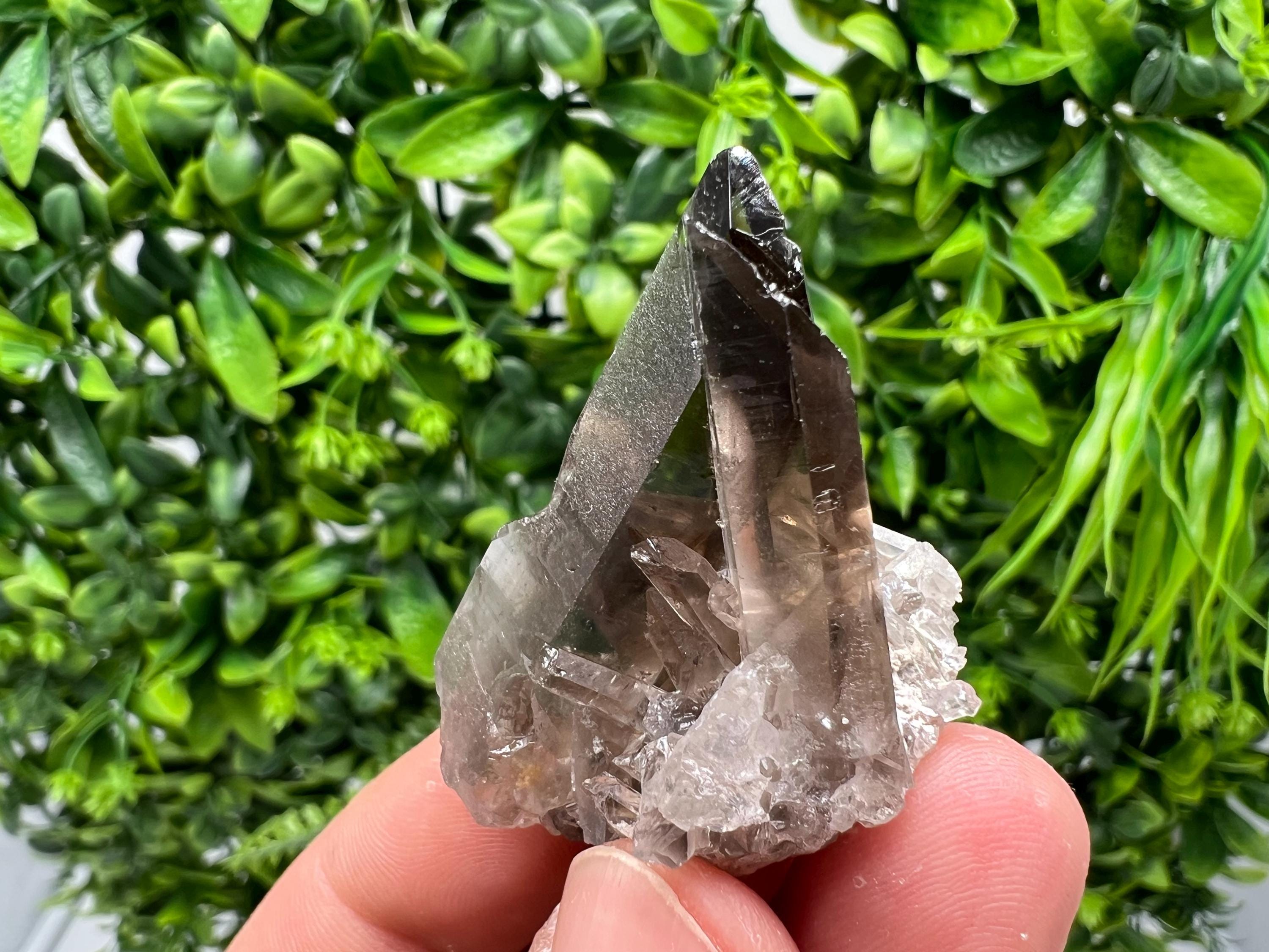 Rare Smoky Quartz Crystal Specimen: Mineral Collection, Brazil