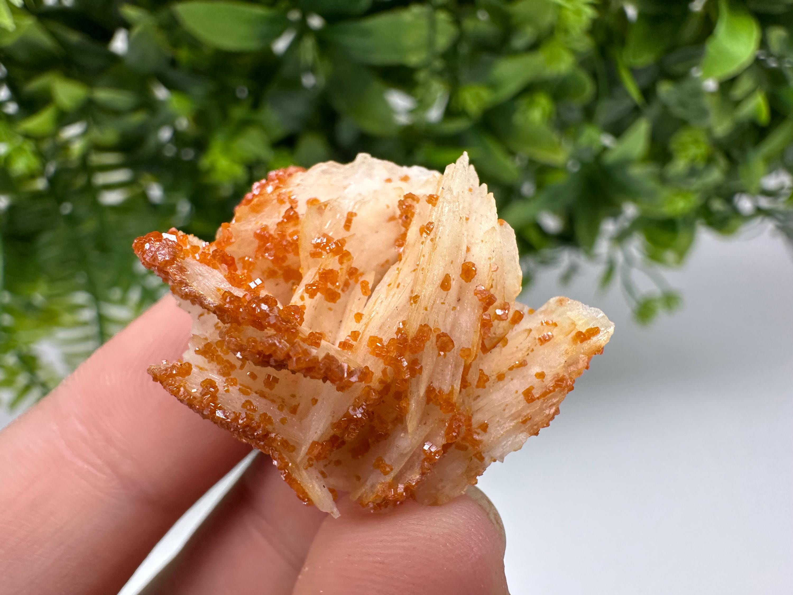 Red Vanadinite on Barite, Moroccan Crystal Cluster