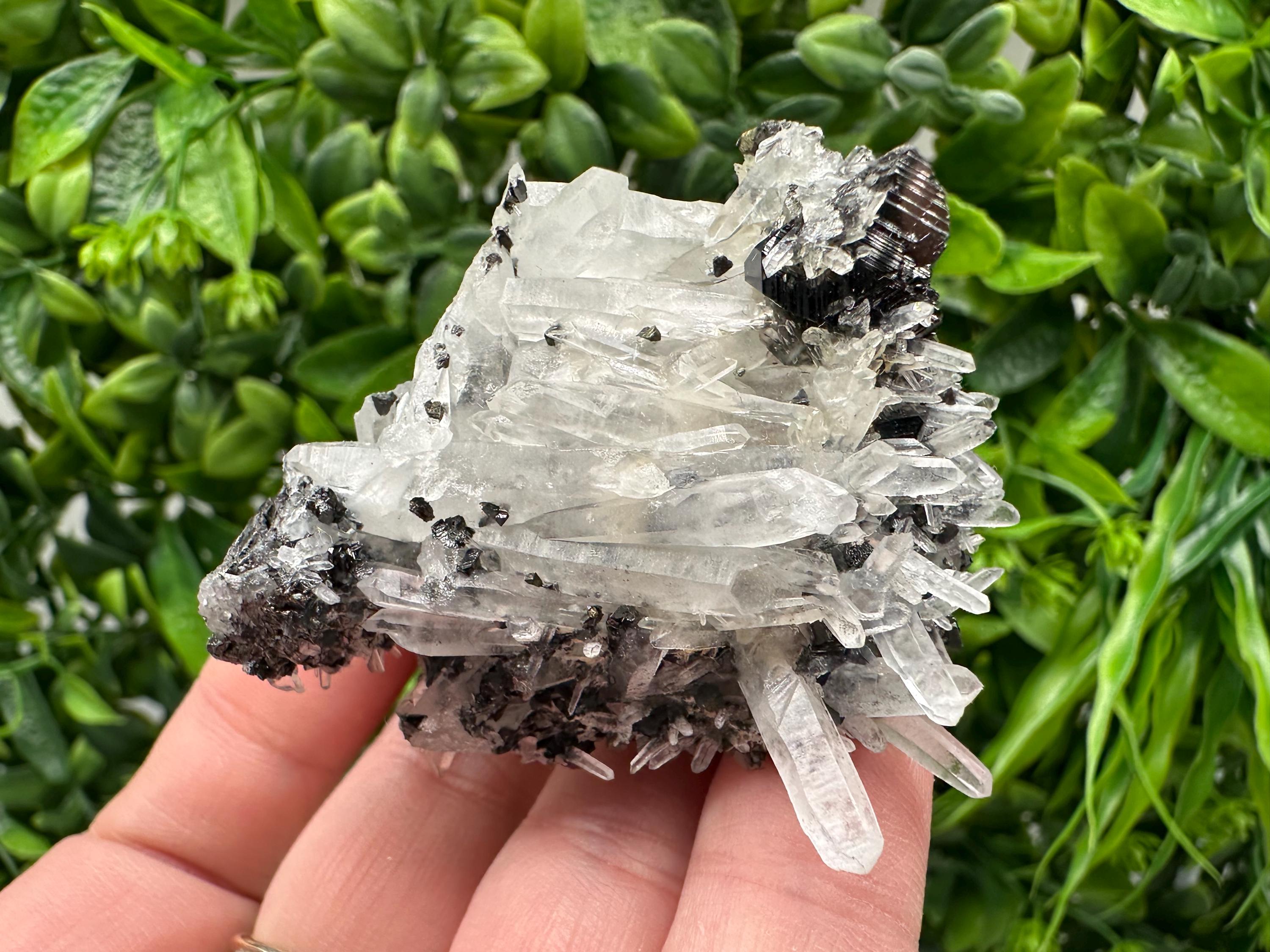 Wonderful Sphalerite Chalcopyrite on  Quartz whit Galena feom 9 th September mine,Bulgaria,natural,collection mineral specimen,gift