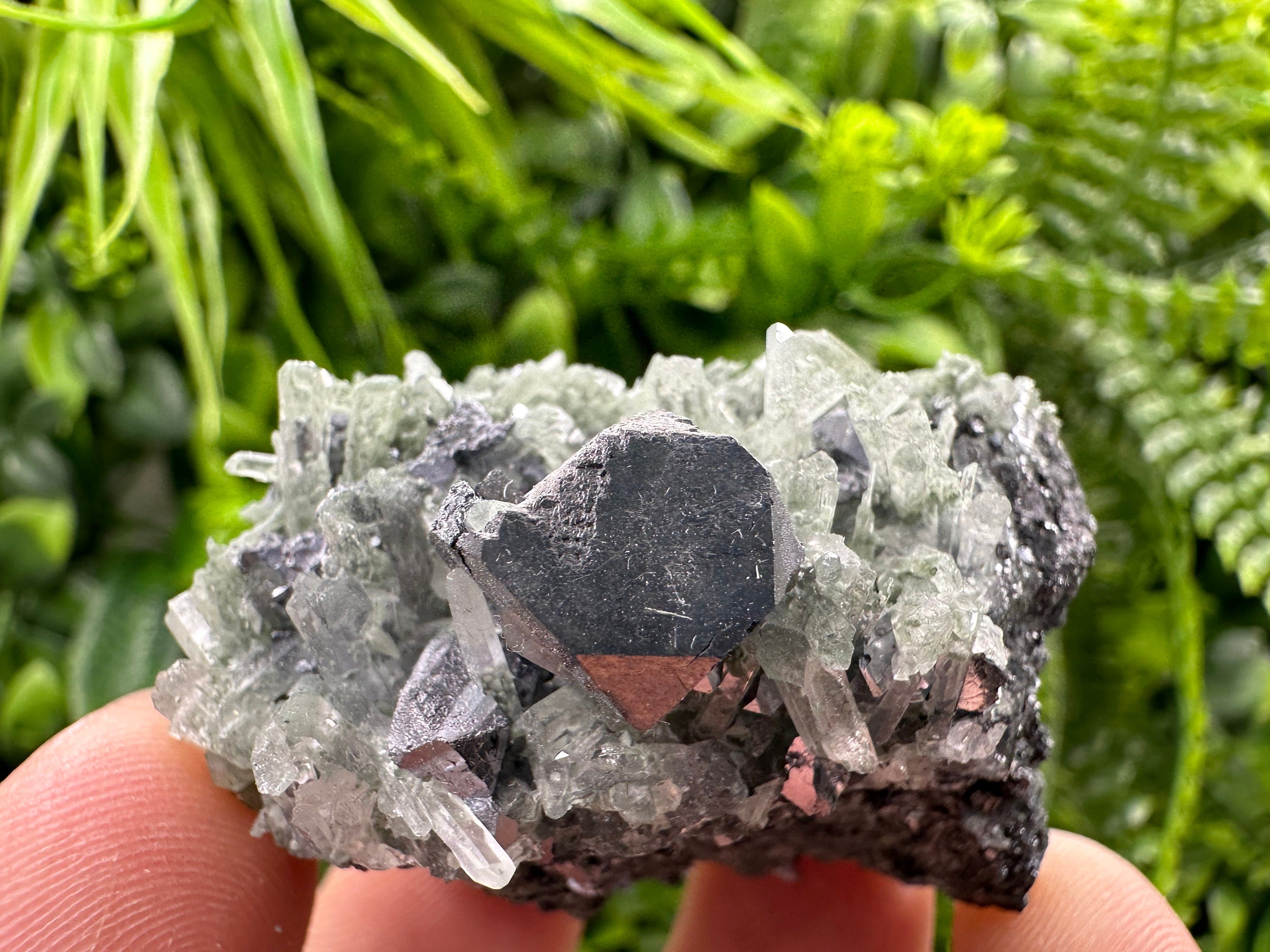 Galena on Green Quartz, Borieva Mine Mineral Specimen