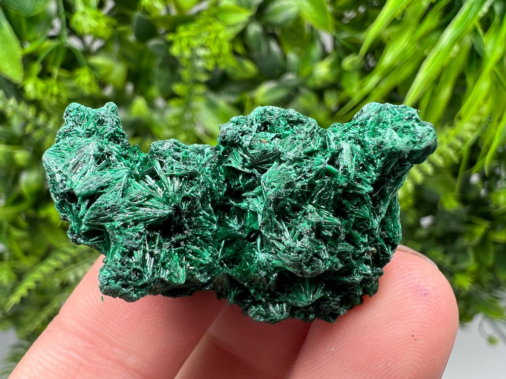 Malachite Crystal from Congo,Minerals,Crystals from Congo,Green Malachite, Malachite,Natural Malachite,Malachite Stone,Chakra, Specimens
