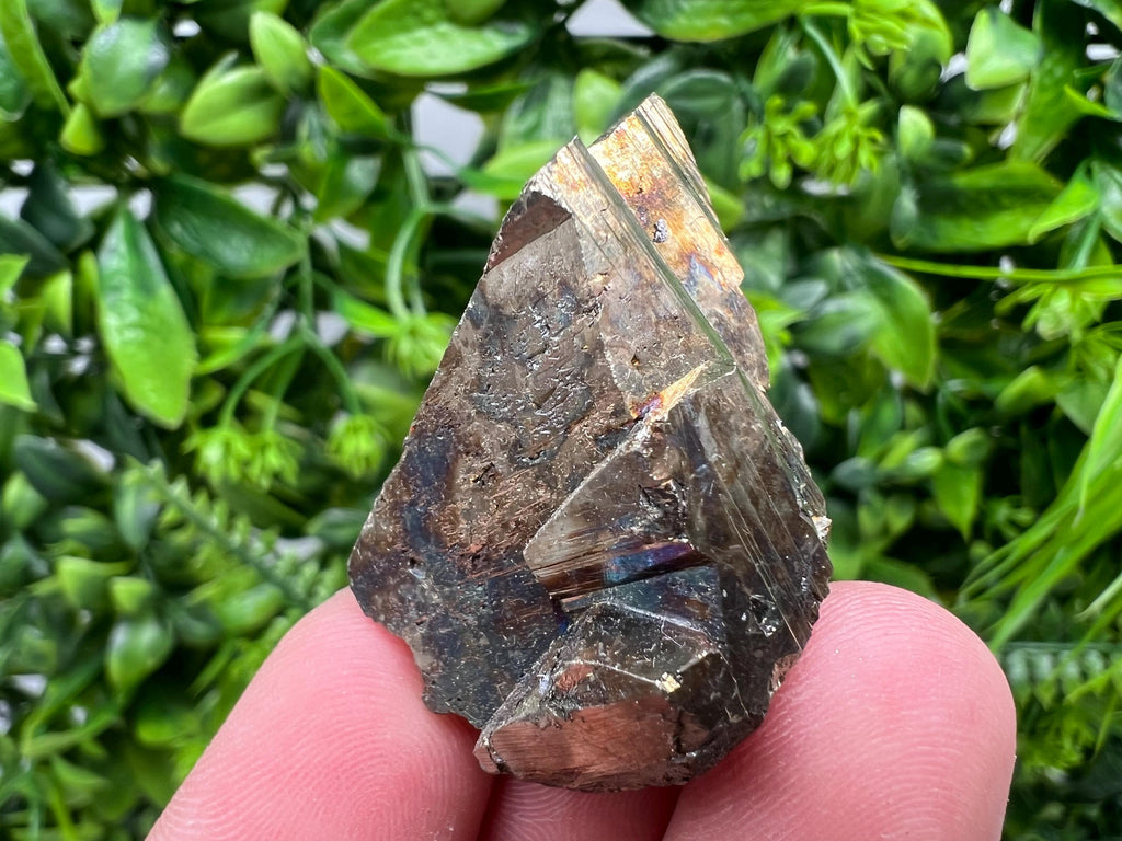 Rare Rainbow Pyrite Cluster: Borieva Mine, Bulgaria