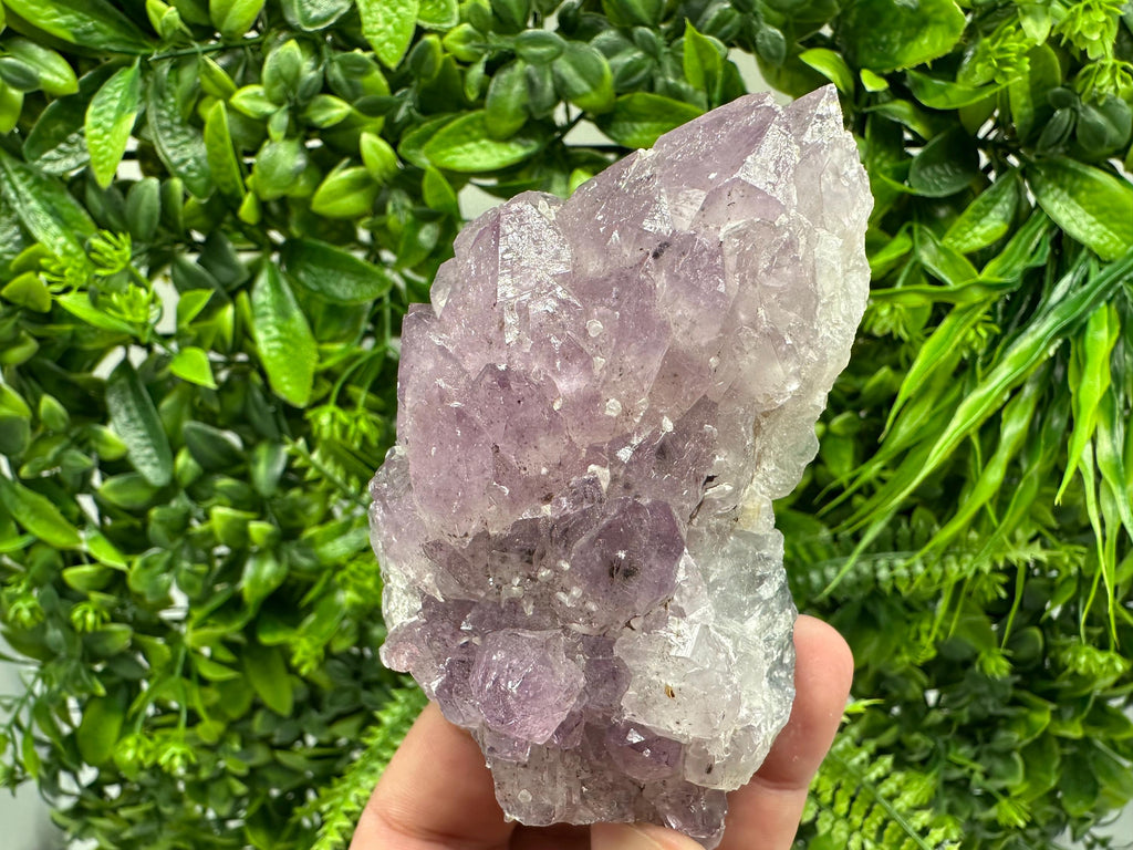 Brazilian Amethyst Cluster, Purple Quartz Crystal Specimen