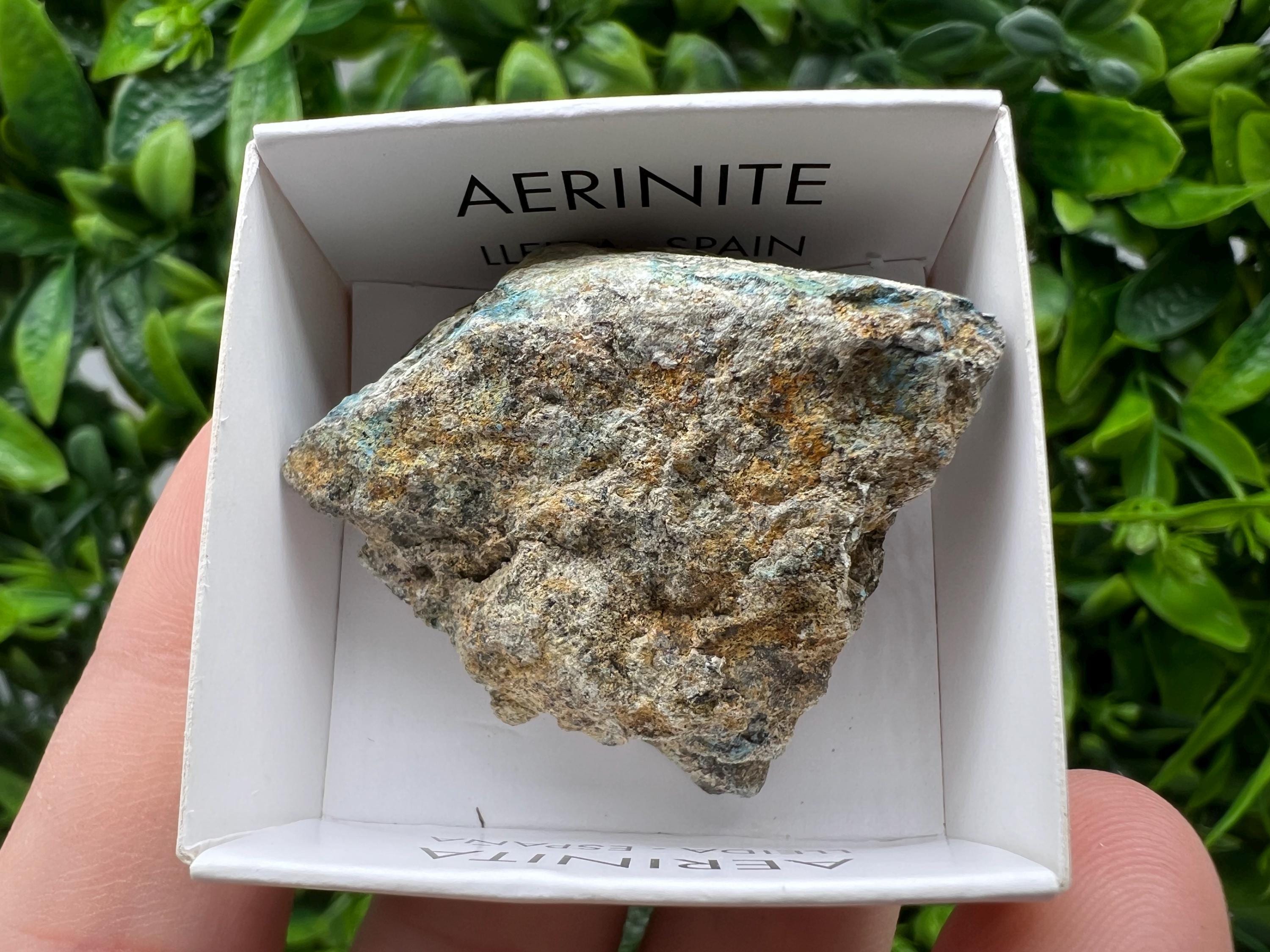 Rare Raw Aerinite Mineral Specimen: Collection Crystal from Lleida, Spain (4/3.5 CM)