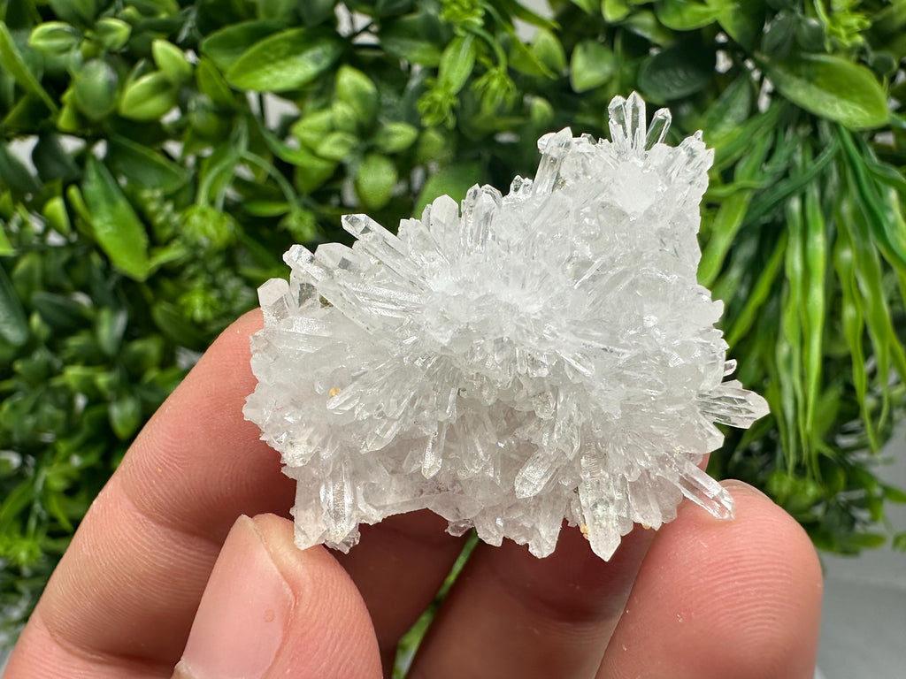 Transparent Quartz on Chlorite Matrix, Borieva Mine, Bulgaria