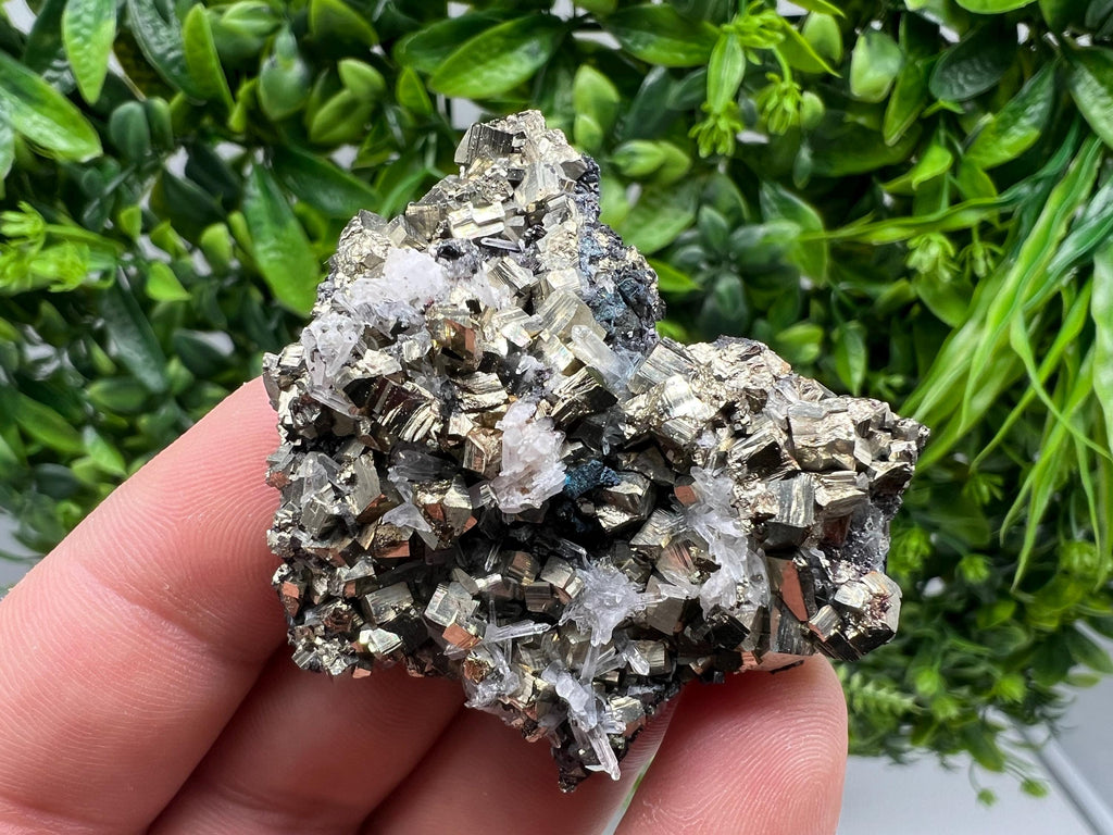 Pyrite on Green Quartz Mineral Specimen, Borieva Mine Bulgaria