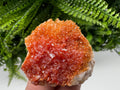 Red Vanadinite Crystal Cluster on Barite, Morocco Mineral Specimen