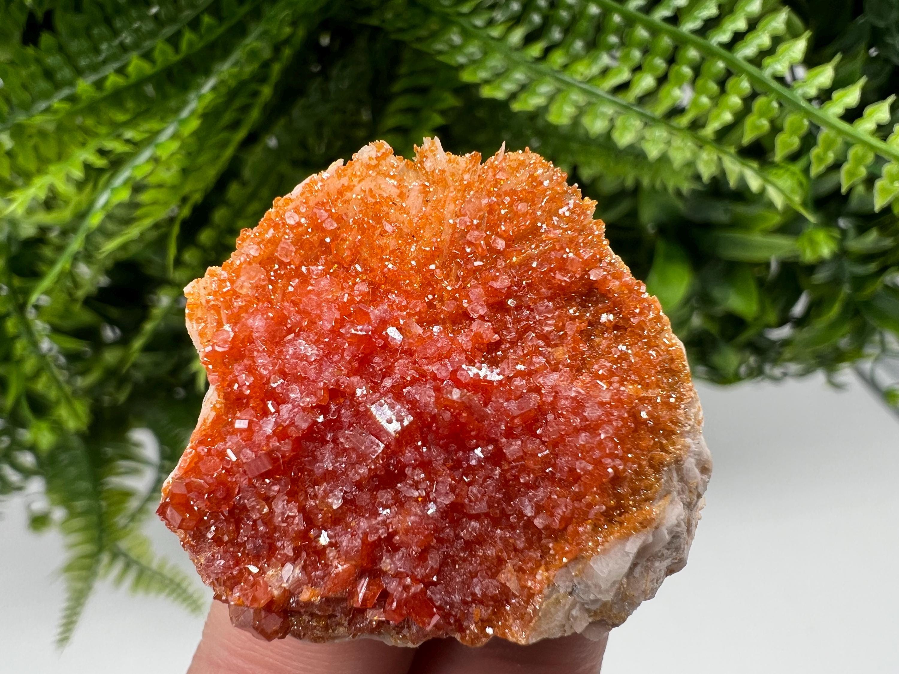 Red Vanadinite Crystal Cluster on Barite, Morocco Mineral Specimen