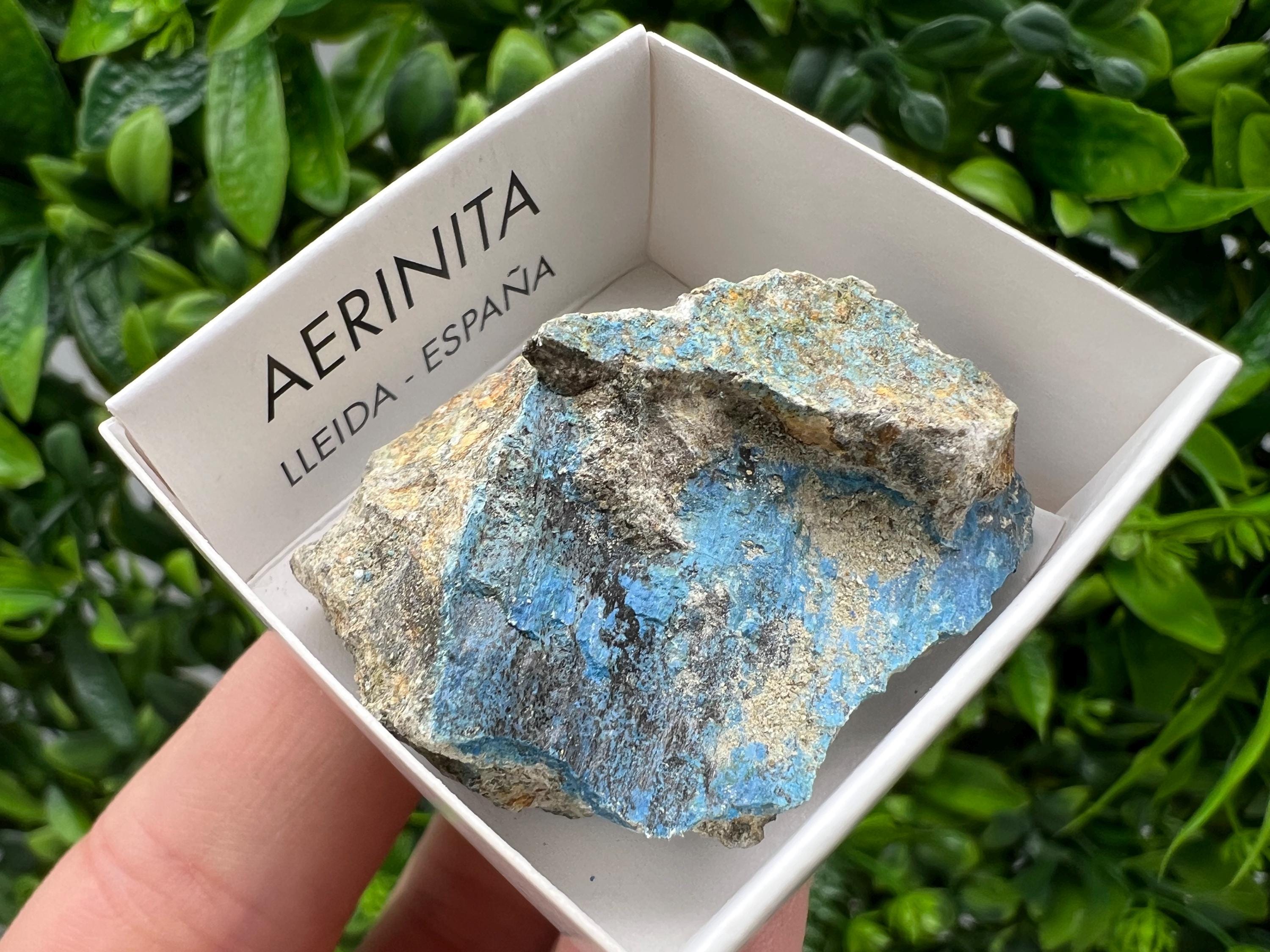 Rare Raw Aerinite Mineral Specimen: Collection Crystal from Lleida, Spain (4/3.5 CM)