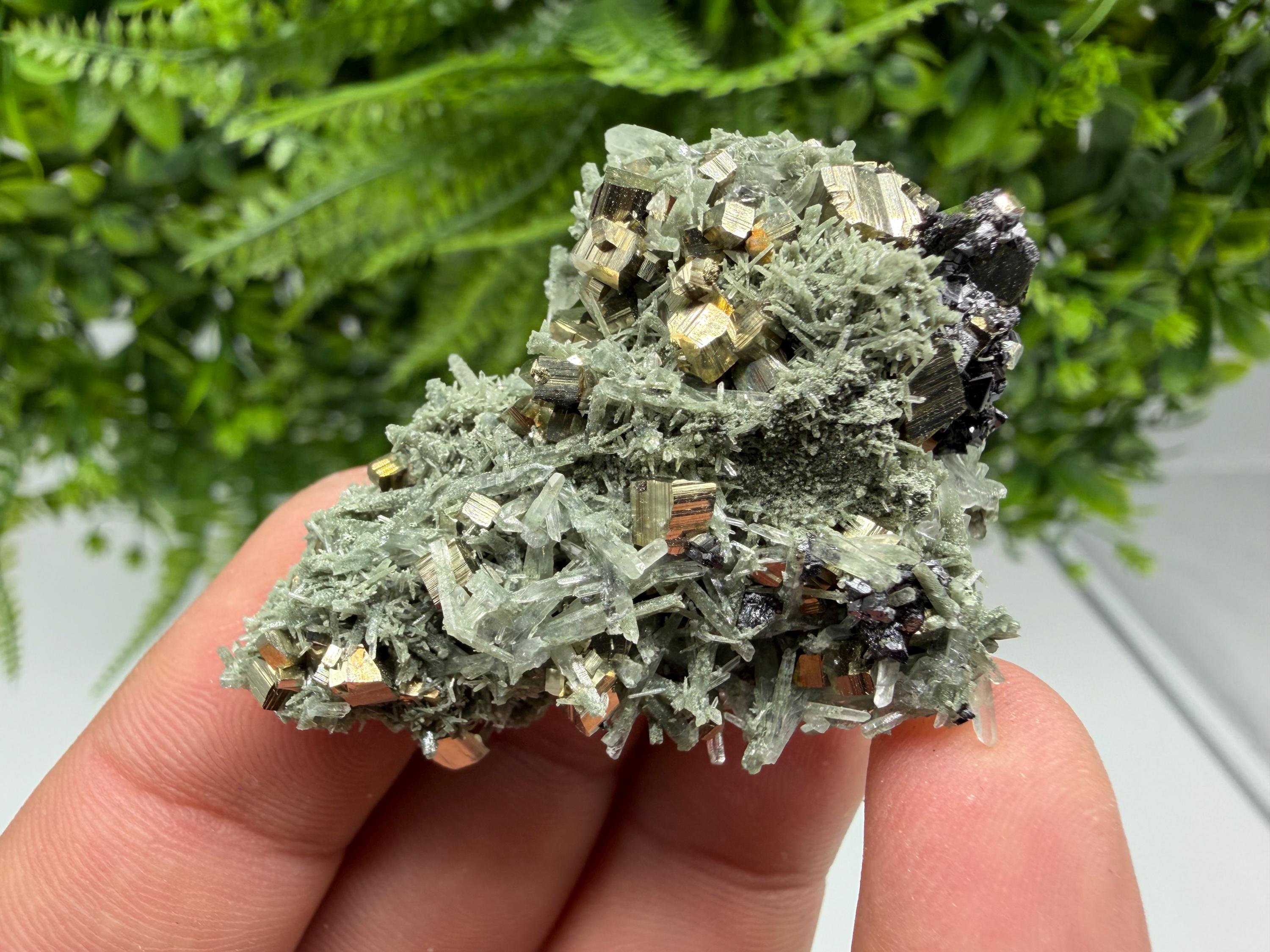 Pyrite on Green Quartz Mineral Specimen, Borieva Mine, Bulgaria