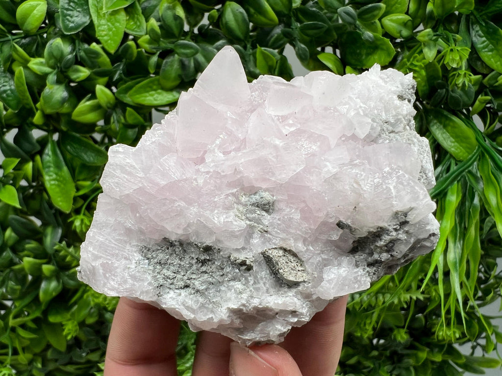 UV Reactive Mangano Calcite Crystal: Androvo Mine, Bulgaria