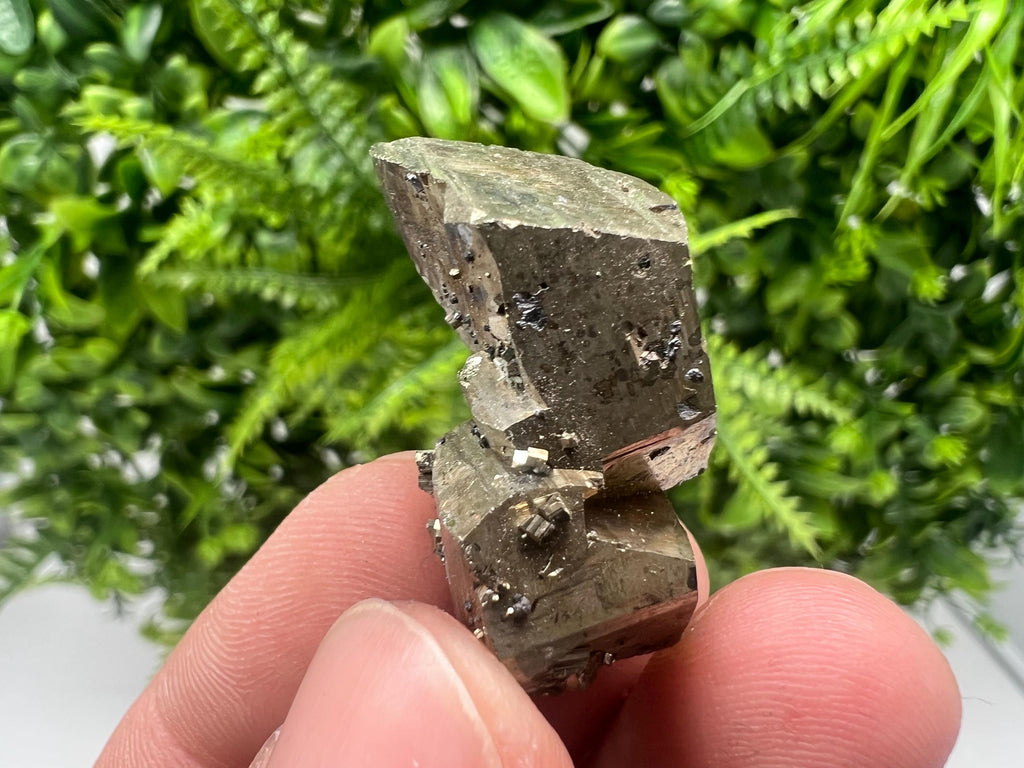 Mini Rainbow Pyrite Cluster: Borieva Mine, Bulgaria