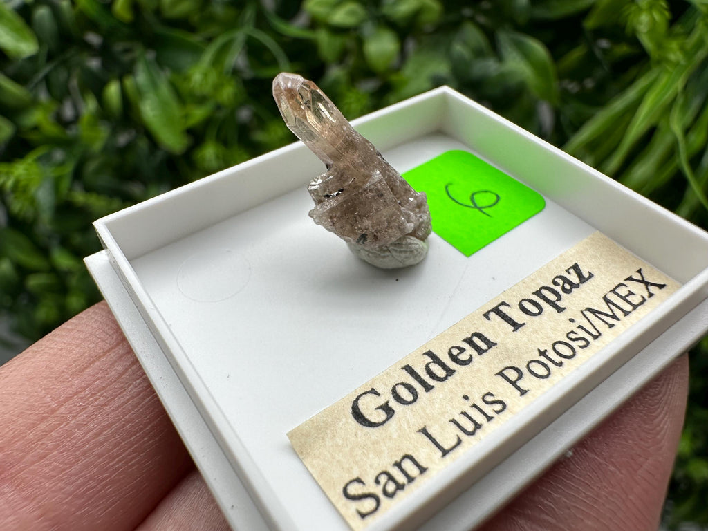 Golden Topaz Crystal, Mineral Specimen from Mexico