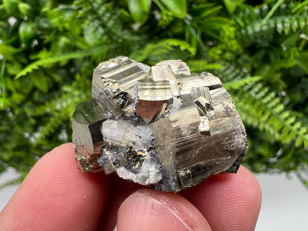 Mini Rainbow Pyrite Cluster: Borieva Mine, Bulgaria