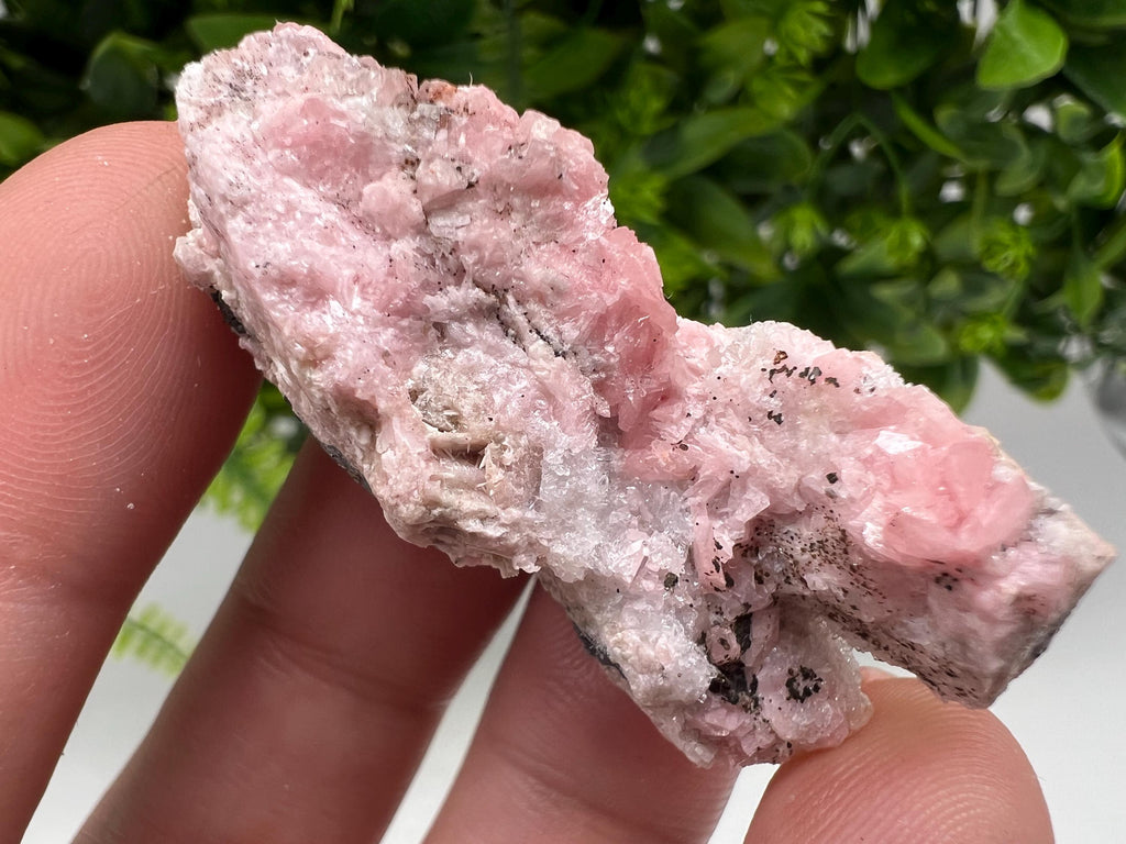 Beautiful Rhodochrosite on Quartz,pink minerals,Starnica Mine,Davidcovo,Bulgaria natural minerals,collection crystal,gift home decor,collec