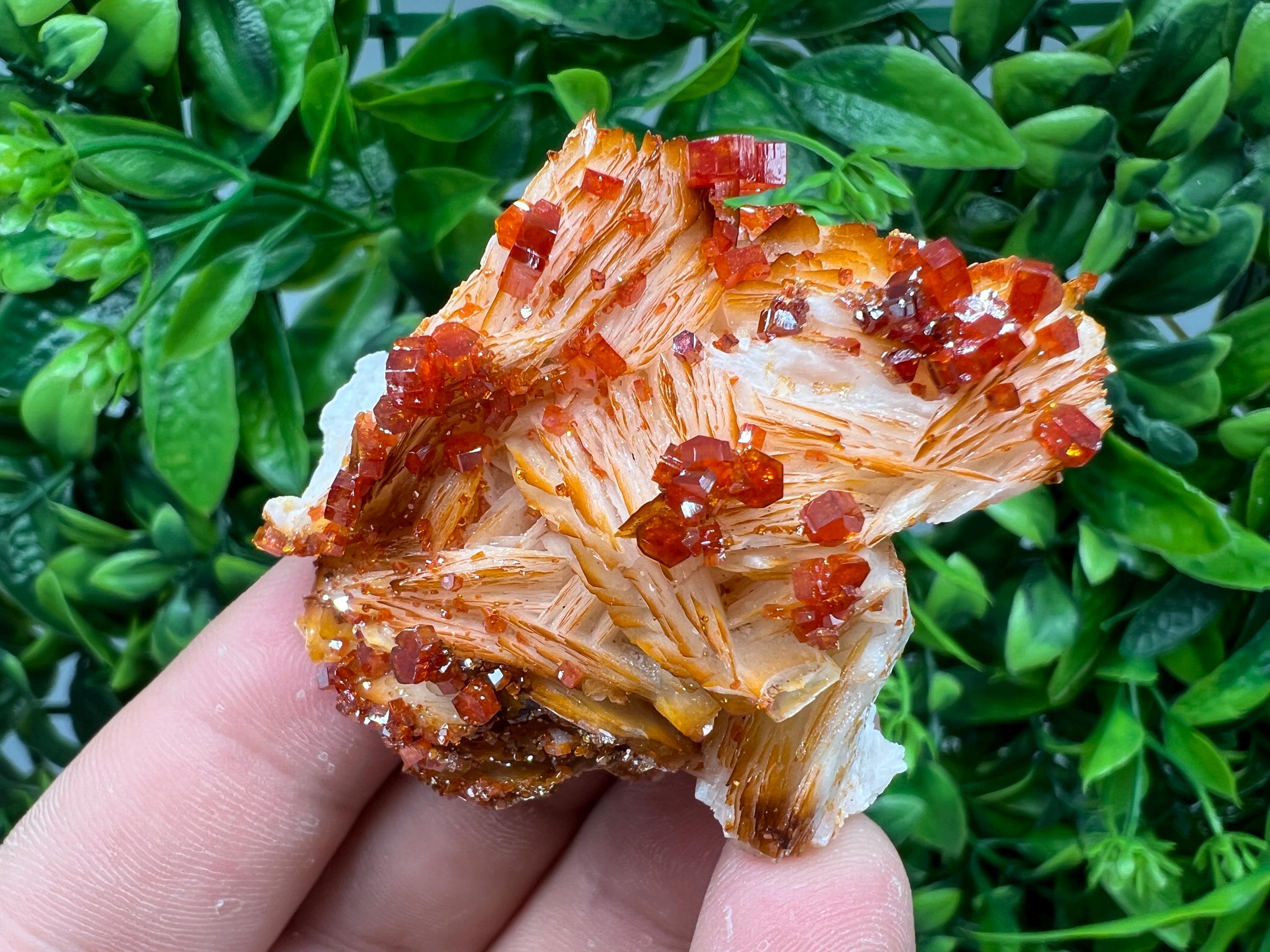 Red Vanadinite on Barite from Marocco,crystal minerals Speciment cluster Vanadinite crystal Vanadinite Geology Vanadinite cluster minerals