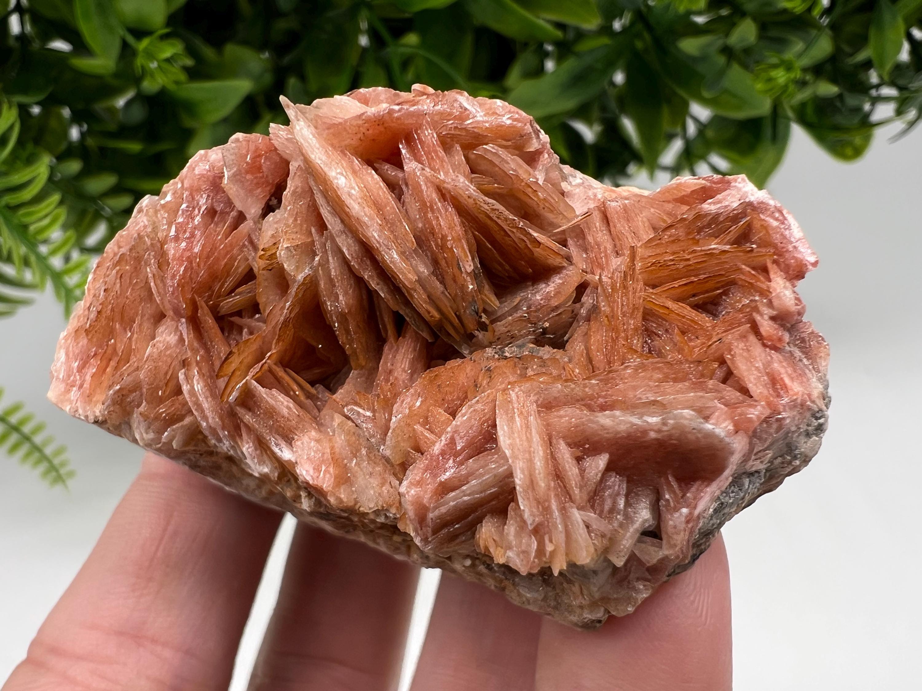 Wonderful Baryte with Cerussite on Galena from Morocco,Crystal, Mineral,Specimen,Cluster,Crystals,Barite Crystal,Cerussite Crystal,Specimen