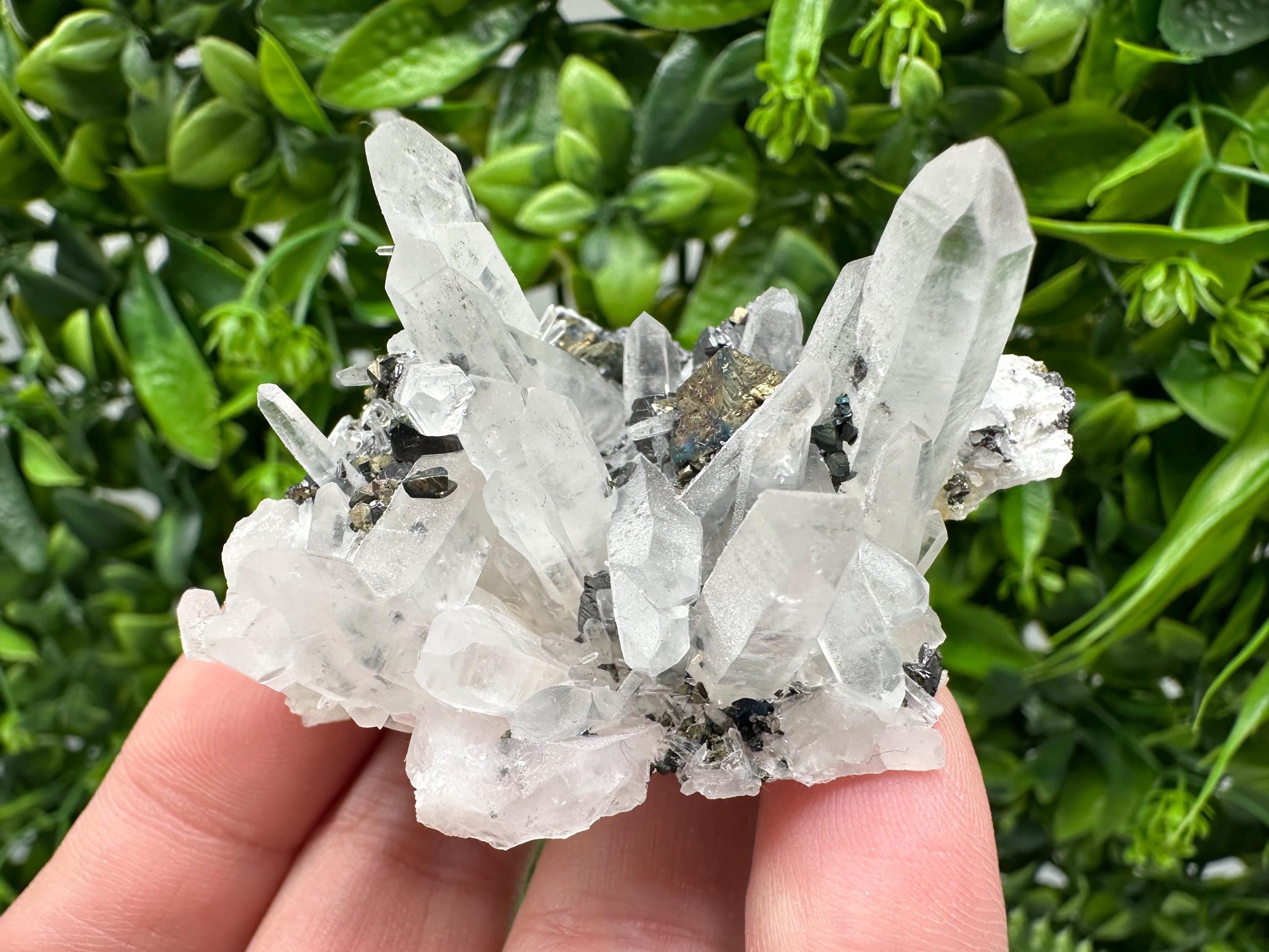 Wonderful Sphalerite Chalcopyrite on  Quartz whit Galena feom 9 th September mine,Bulgaria,natural,collection mineral specimen,gift