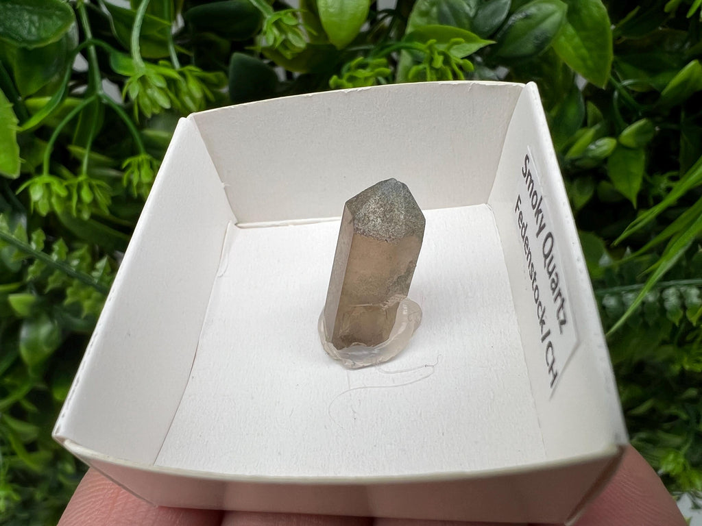 Rare Fedenstock Smoky Quartz Point, Swiss Mineral Specimen (20MM)