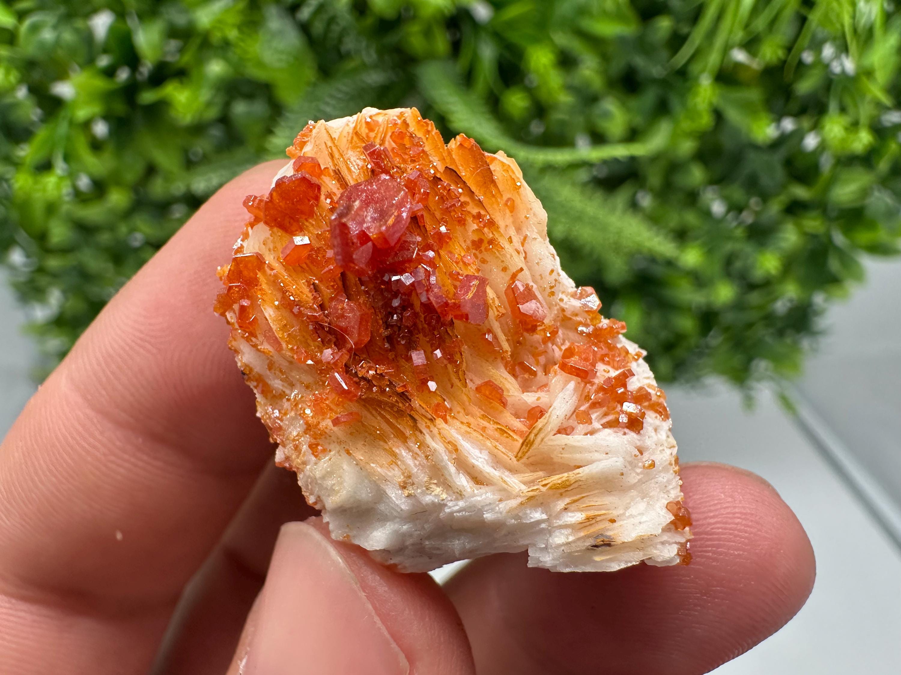 Red Vanadinite on Barite from Marocco,crystal minerals Speciment cluster Vanadinite crystal Vanadinite Geology Vanadinite cluster minerals