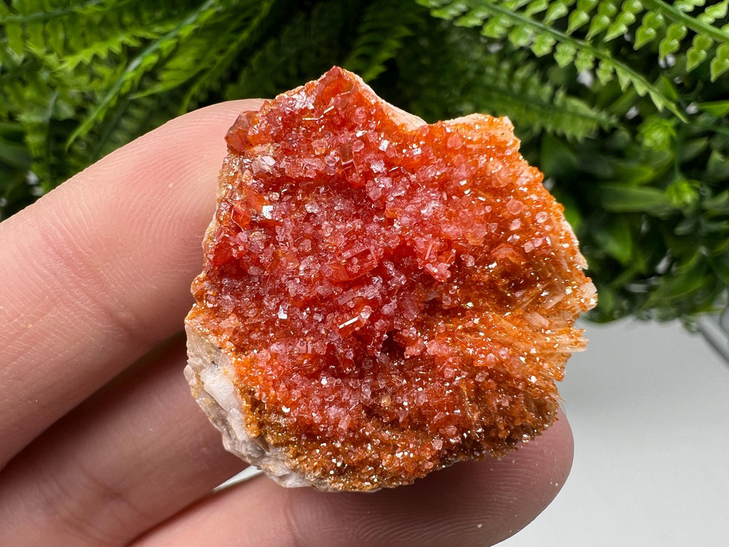 Red Vanadinite Crystal Cluster on Barite, Morocco Mineral Specimen