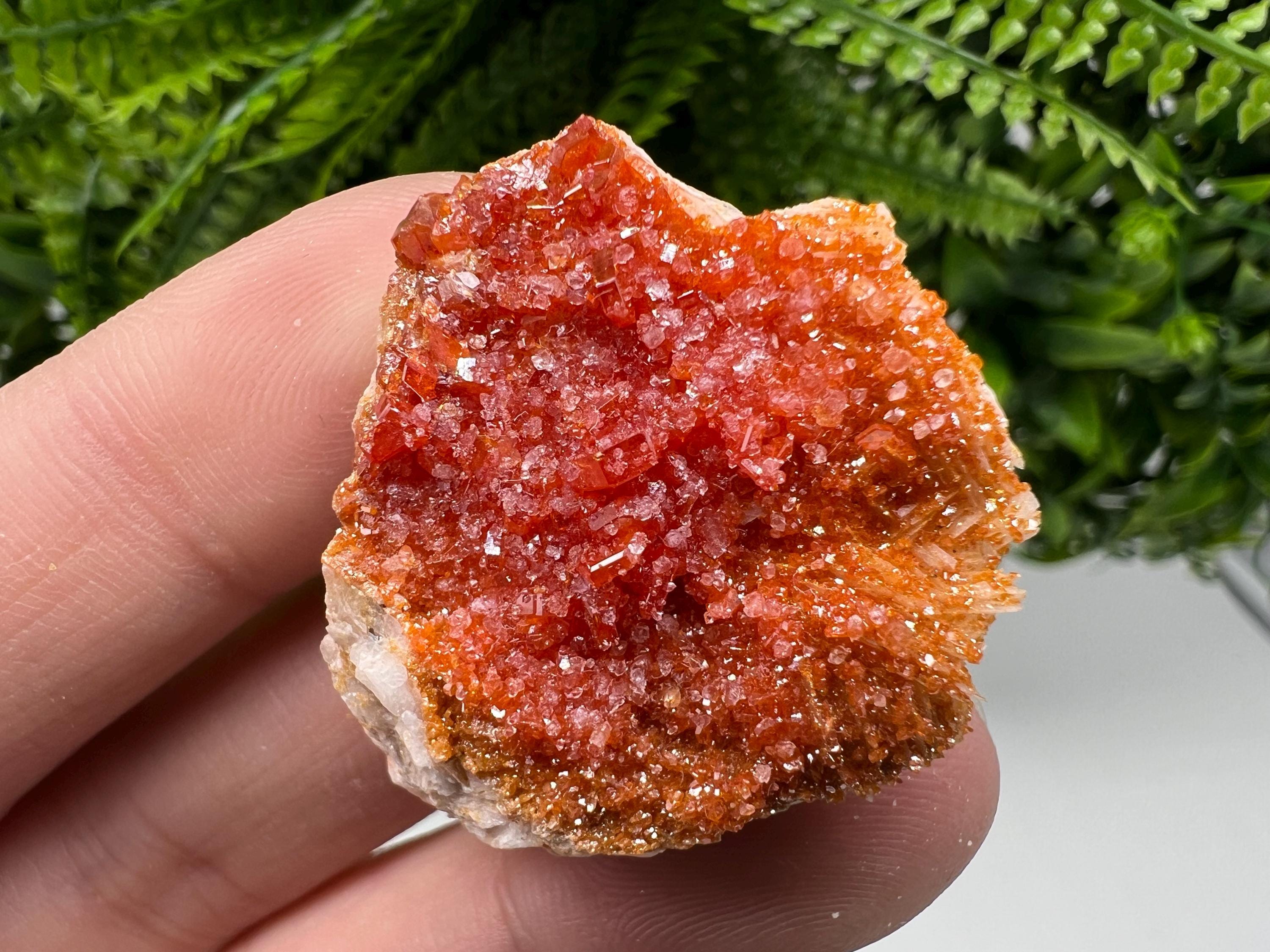 Red Vanadinite Crystal Cluster on Barite, Morocco Mineral Specimen