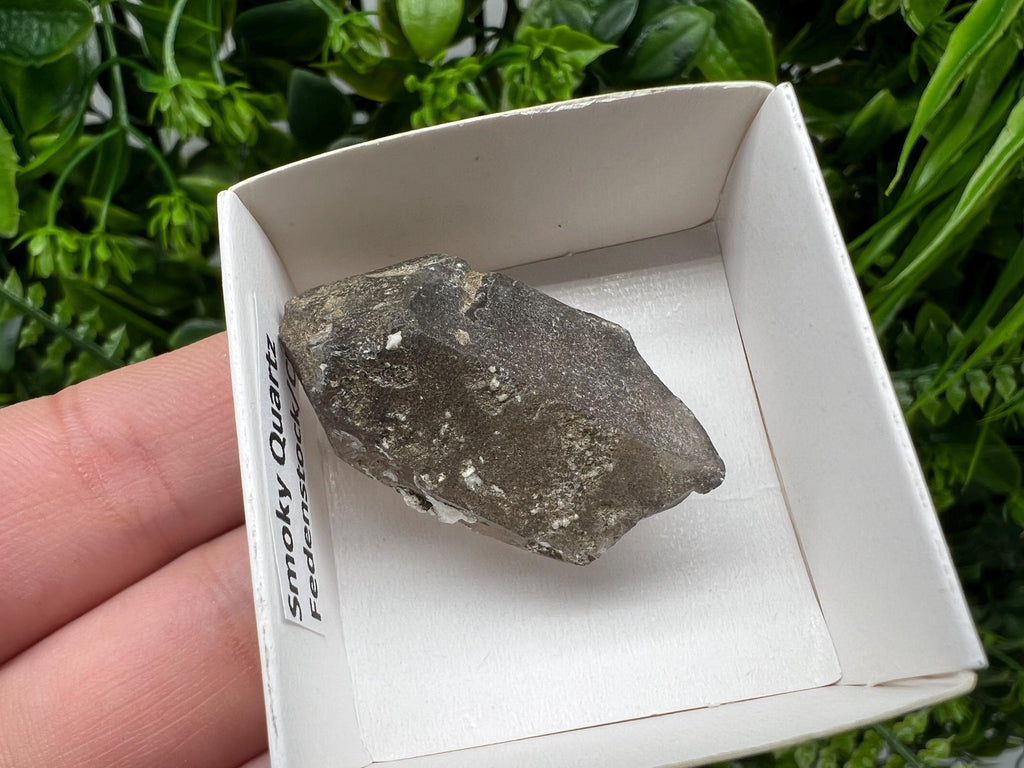 Rare Fedenstock Smoky Quartz Mineral Specimen, Switzerland (57 MM)
