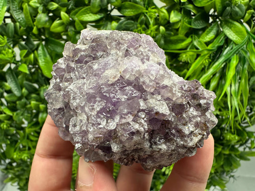 Brazilian Amethyst Cluster, Purple Quartz Crystal Specimen