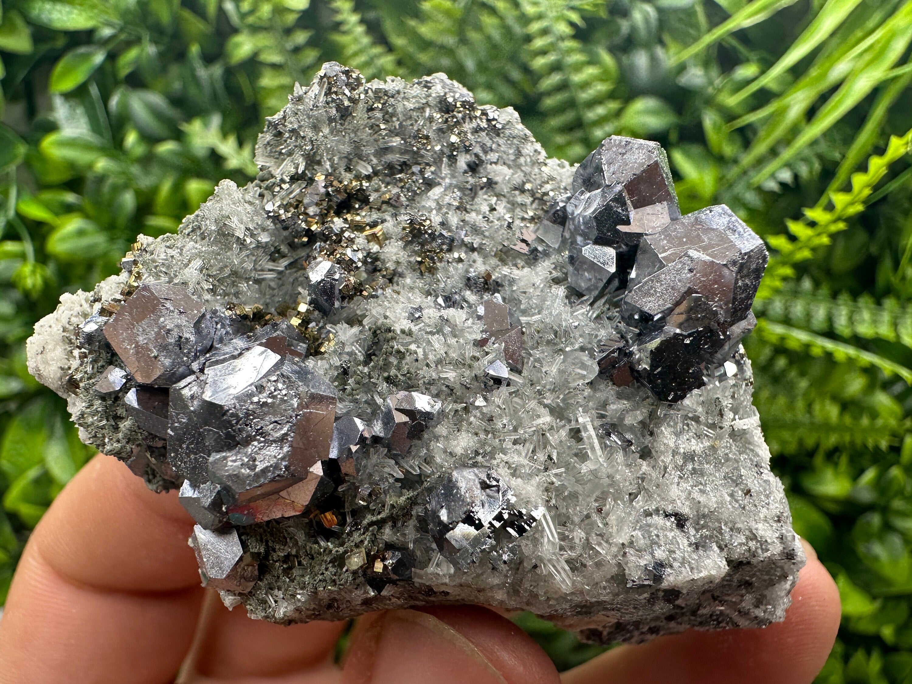 Galena Spinel Law Crystal on Quartz, Chlorite Mineral Specimen