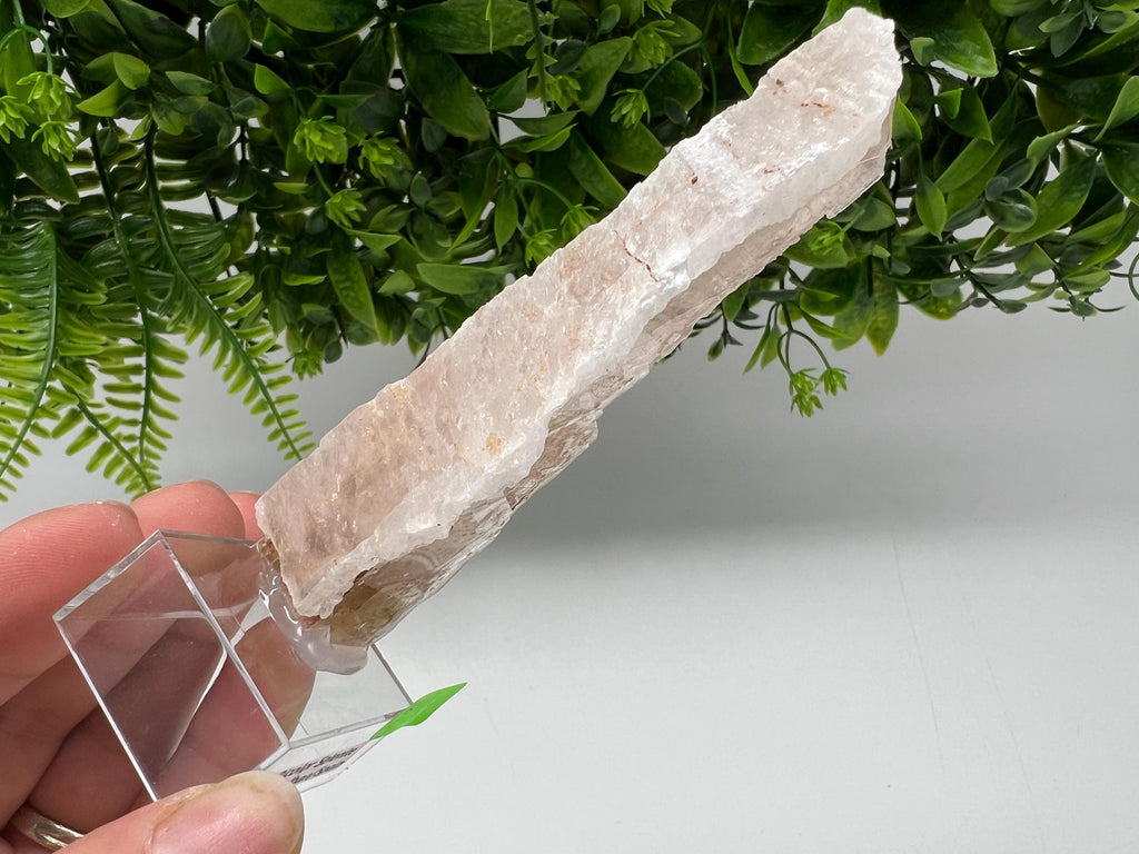 Golden Phantom Selenite Slab: Utah Raw Fishtail Selenite Wand