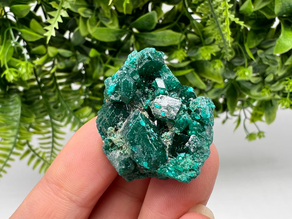Stunning Green Dioptase from Sanda Hills,Mindouli,Pool Department,Mindouli District,Congo,green Dioptase,Dioptas Crystal,Dioptase collecting