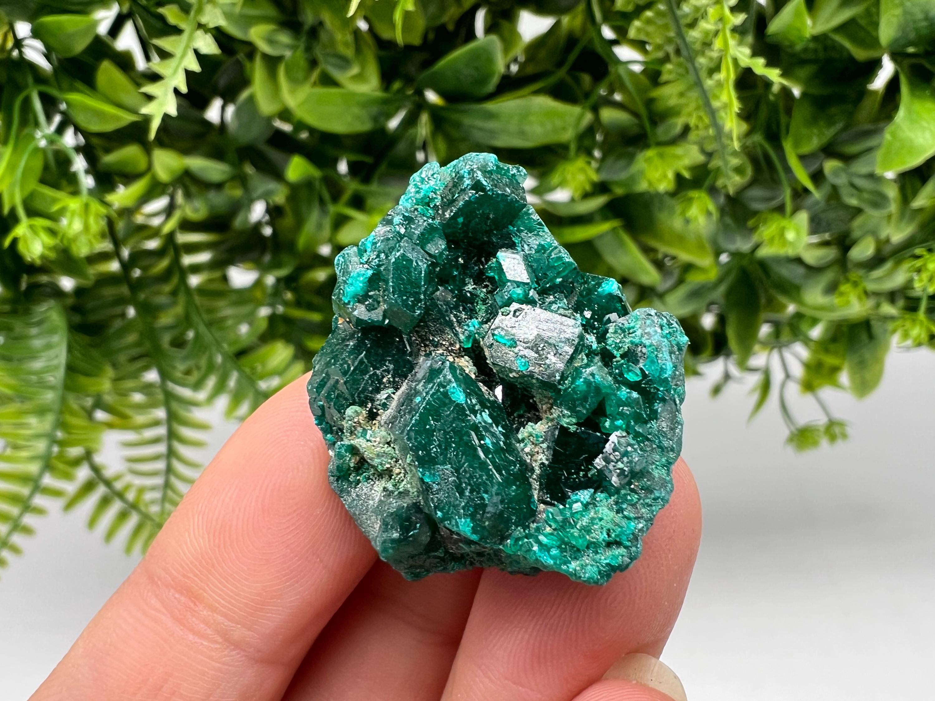 Stunning Green Dioptase from Sanda Hills,Mindouli,Pool Department,Mindouli District,Congo,green Dioptase,Dioptas Crystal,Dioptase collecting