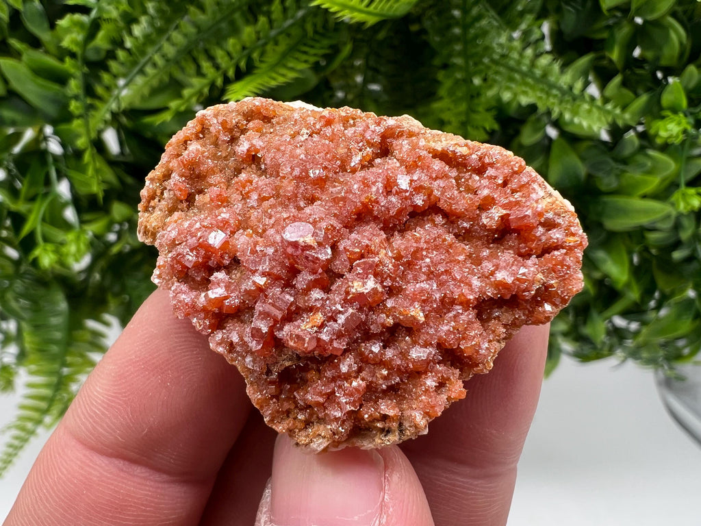 Red Vanadinite on Barite from Marocco,crystal minerals Speciment cluster Vanadinite crystal Vanadinite Geology Vanadinite cluster minerals